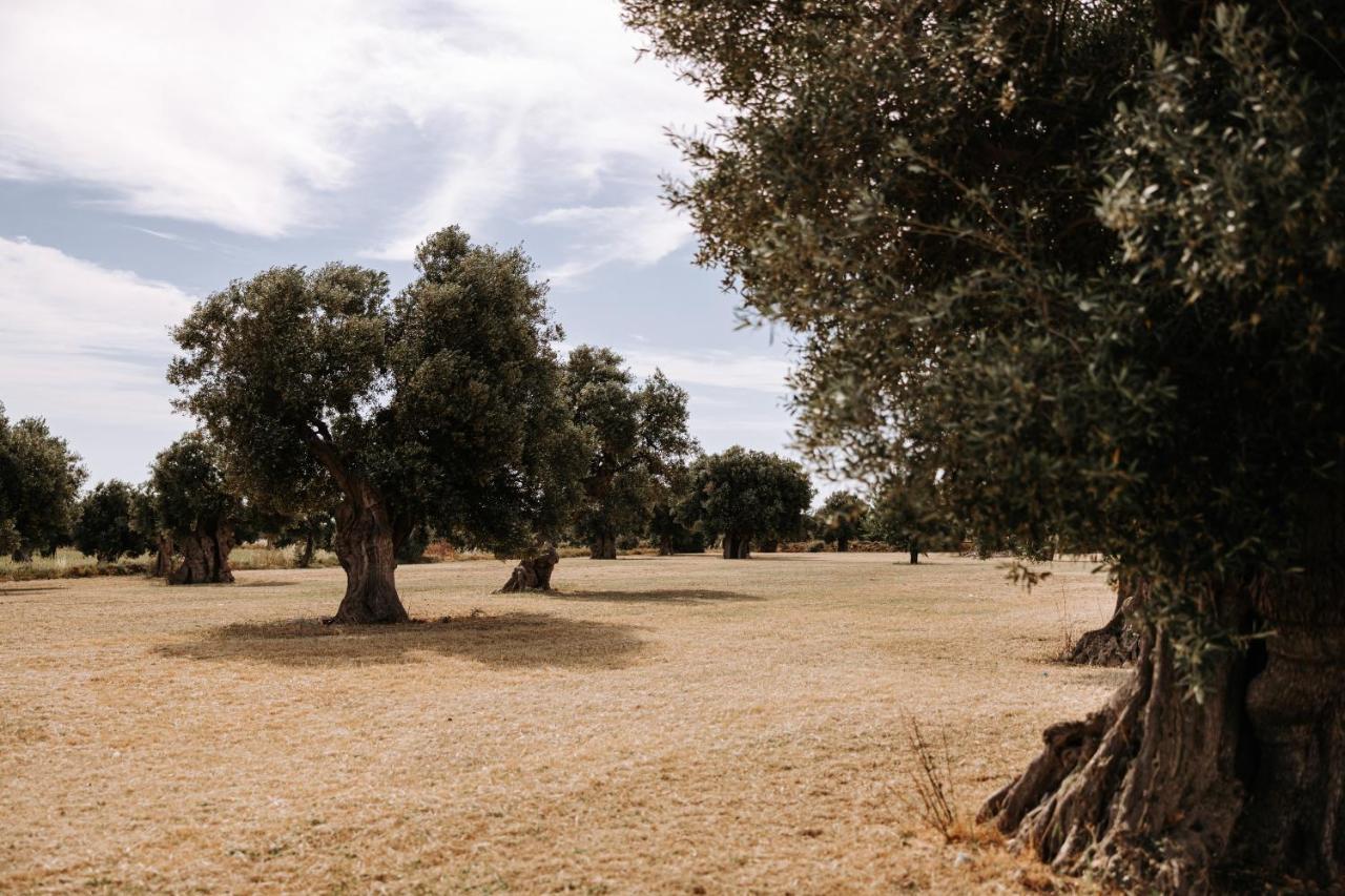 פאסאנו Masseria Garrappa מראה חיצוני תמונה