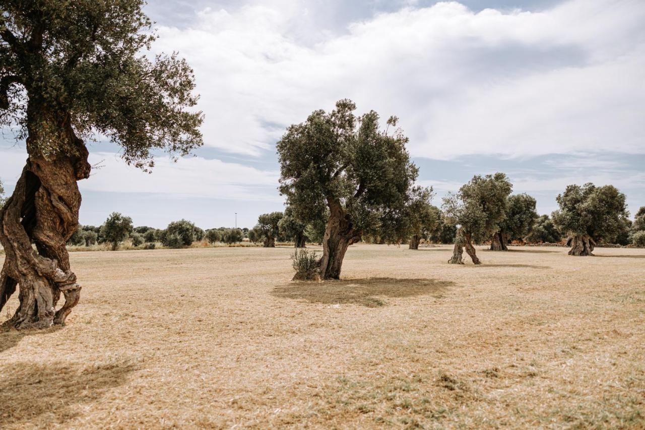 פאסאנו Masseria Garrappa מראה חיצוני תמונה