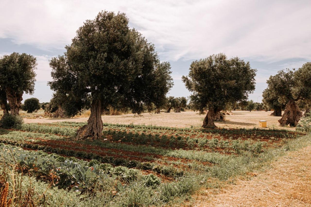 פאסאנו Masseria Garrappa מראה חיצוני תמונה