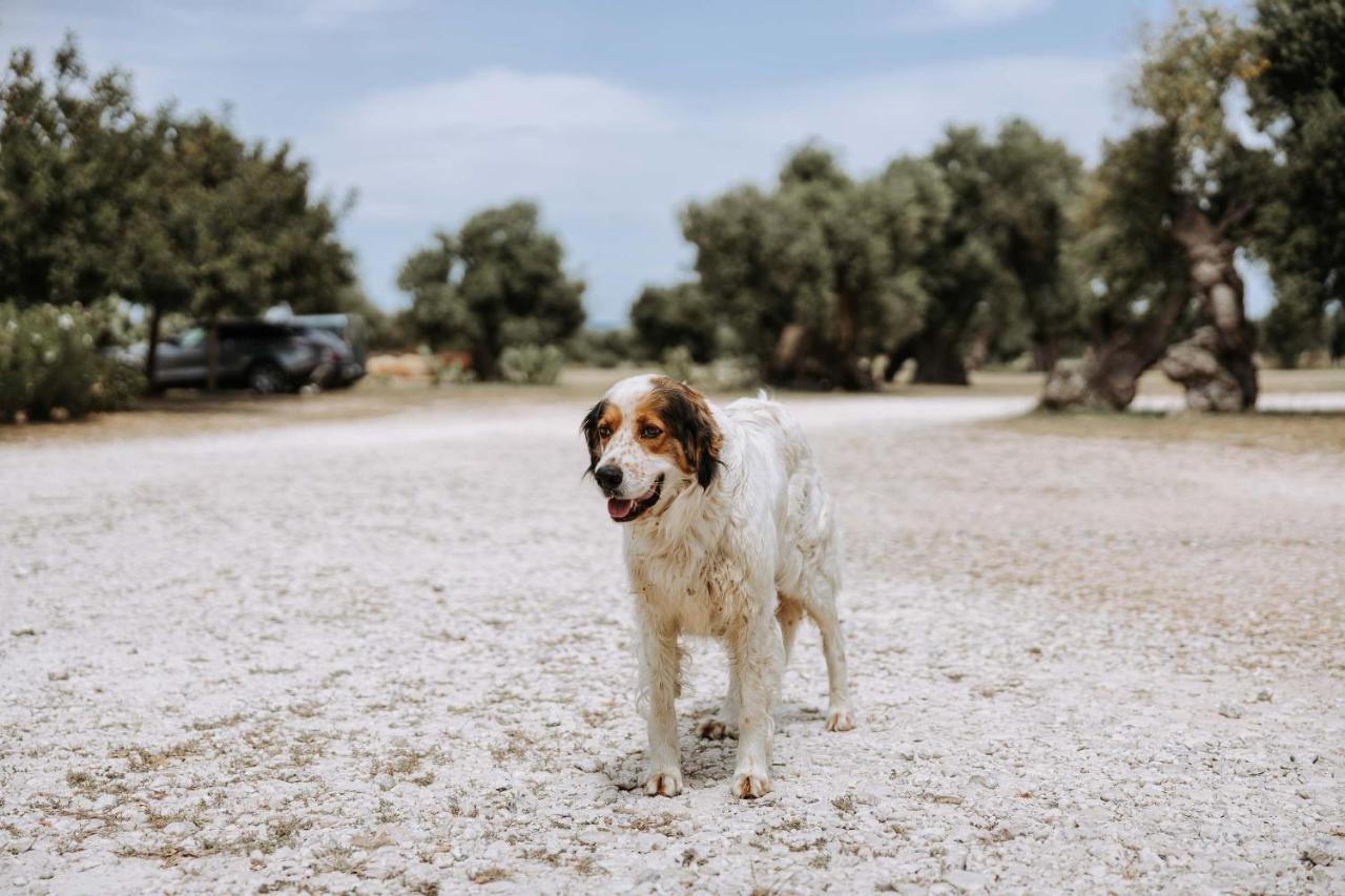 פאסאנו Masseria Garrappa מראה חיצוני תמונה